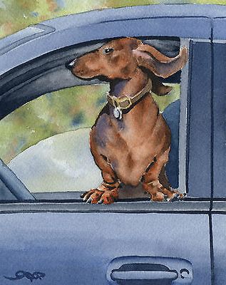 Dachshund Wiener Dog Car Djr Dog Painting Print Poster Wall Art Room Within Favorite Dog Wall Art (View 10 of 15)