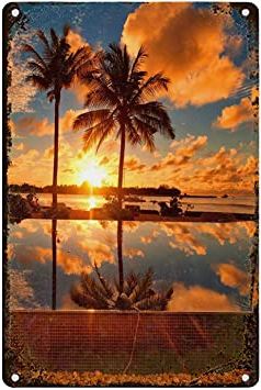 Fashionable Amazon: Zogpemsy Tropical Sunrise Metal Aluminum Sign Wall Decor Intended For Sunrise Metal Wall Art (View 14 of 15)