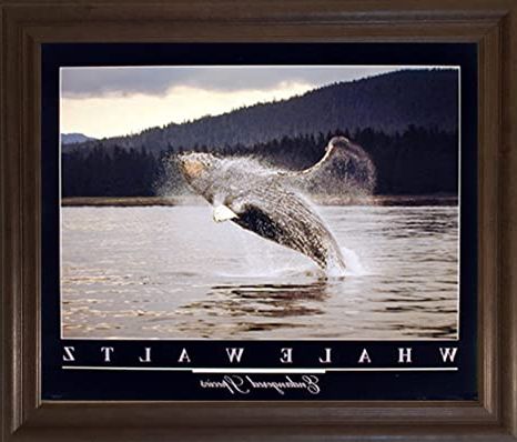 Fashionable Humpback Whale Wall Art Intended For Amazon: Impact Posters Gallery Humpback Whale Diving In Ocean (View 8 of 15)
