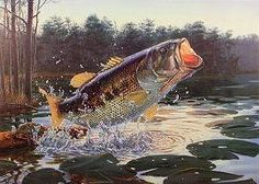 Largemouth Bass, Fish, Fish Throughout Most Current Tail Spin Wall Art (View 14 of 15)