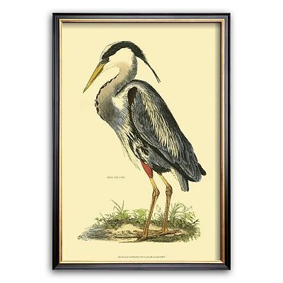 Latest Art Great Blue Heron Framed Art Printprideaux John Selby For Heron Bird Wall Art (View 4 of 15)