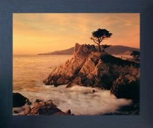 Lone Cypress Tree Pebble Beach Ocean Scenery Wall Decor Espresso Framed Intended For Trendy Cypress Wall Art (View 8 of 15)