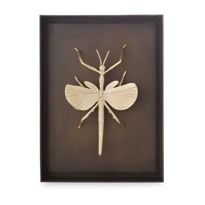 Michael Aram Flying Walking Stick Frame Shadow Box In Natural Brass In Newest Shadow Box Wall Art (View 11 of 15)