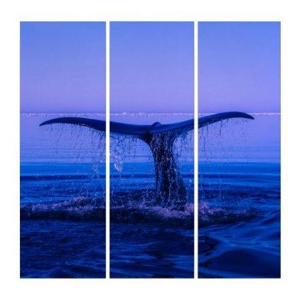 Most Current Humpback Whale Wall Art Throughout Stunning Humpback Whales Tail Breaching Triptych (View 5 of 15)