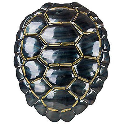 Most Recently Released Sand And Sea Metal Wall Art In Amazon: American Art Décor Large Turtle Shell Metal Wall Sculpture (View 7 of 15)