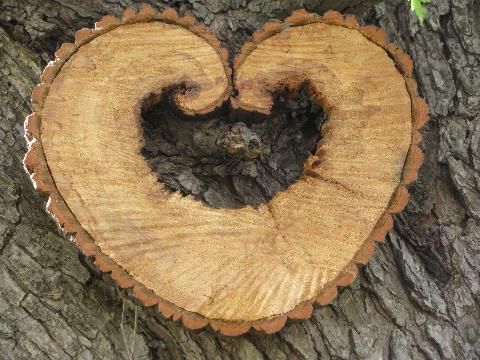 Most Up To Date Natural Wall Art Pertaining To Heart Wood Natural Primitive Log And Tree Bark Rustic Wreath Wall Art (View 6 of 15)