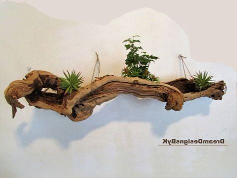 Natural Wall Art For Current Extra Large 50" Unique Tree Root, Driftwood Wall Art – Large Driftwood (View 5 of 15)