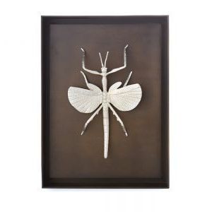 Newest Picture Of Flying Walking Stick Shadow Box – Antique Nickel (With Regarding Shadow Box Wall Art (View 3 of 15)