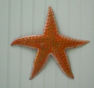 Outdoor Haitian 8" Metal Orange Starfish Hanging Tropical Wall Art In Preferred Starfish Wall Art (View 11 of 15)