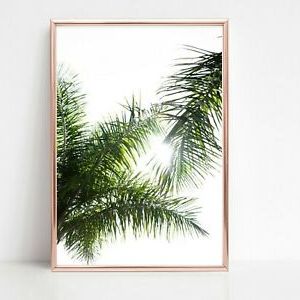 Palm Leaf Leaves Print Picture Wall Art A4 Botanical Plant Unframed With Regard To Preferred Palms Wall Art (View 9 of 15)