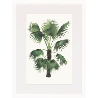 Palms Wall Art Pertaining To Latest Palm Plants Framed Art Print – Overstock –  (View 4 of 15)