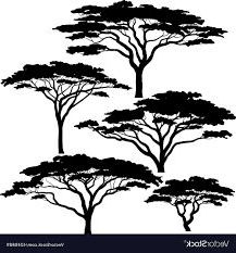 Recent False Acacia Tree Drawing – Google Search In  (View 6 of 15)