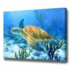 Sea Wall Art Pertaining To Most Recently Released Bathroom Decor Sea Turtle Pictures Painting Wall Art Beach Decor Canvas (View 14 of 15)