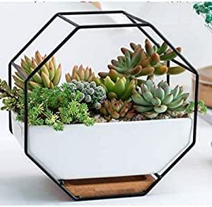 Square Black Metal Wall Art Within Trendy Amazon: Aaedrag Simple Octagonal Geometric Wall Hanging Flower Pot (View 12 of 15)