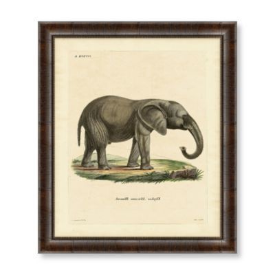 Trendy "elephant" Framed Art 1 Espresso (View 7 of 15)