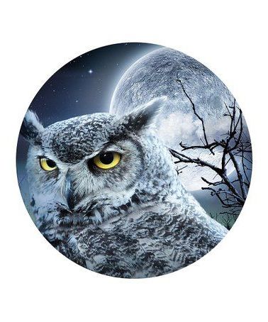Well Known Look At This #zulilyfind! 16'' Owl Moon Round Outdoor Wall Art # For Moonlight Wall Art (View 14 of 15)