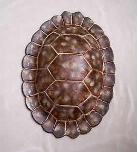 Well Liked Sea Turtle Shell Hand Painted Metal Sculpture Beach Realistic Big 3 Lbs Pertaining To Sand And Sea Metal Wall Art (View 1 of 15)