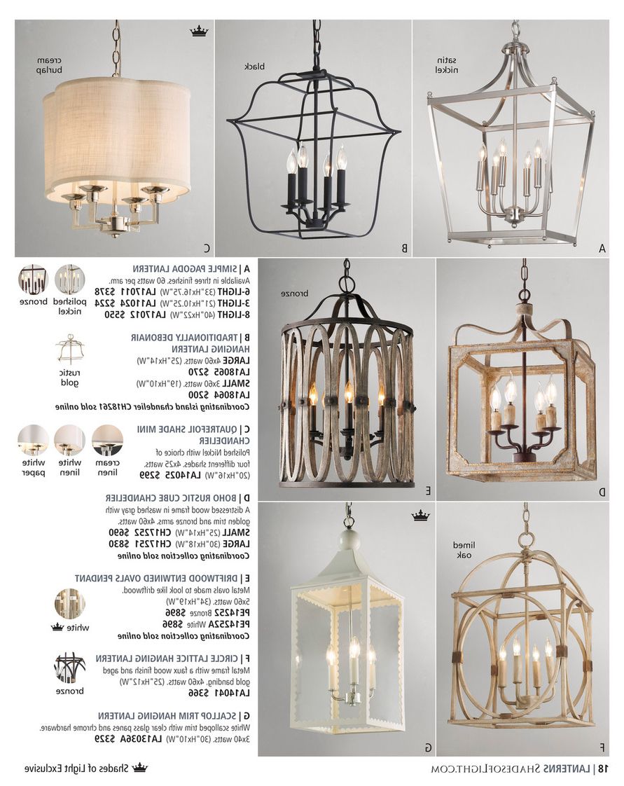 Current Weathered Driftwood And Gold Lantern Chandeliers For Shades Of Light – Exotic Elegance 2020 – Driftwood Entwined Ovals Pendant –  5 Light (View 2 of 15)