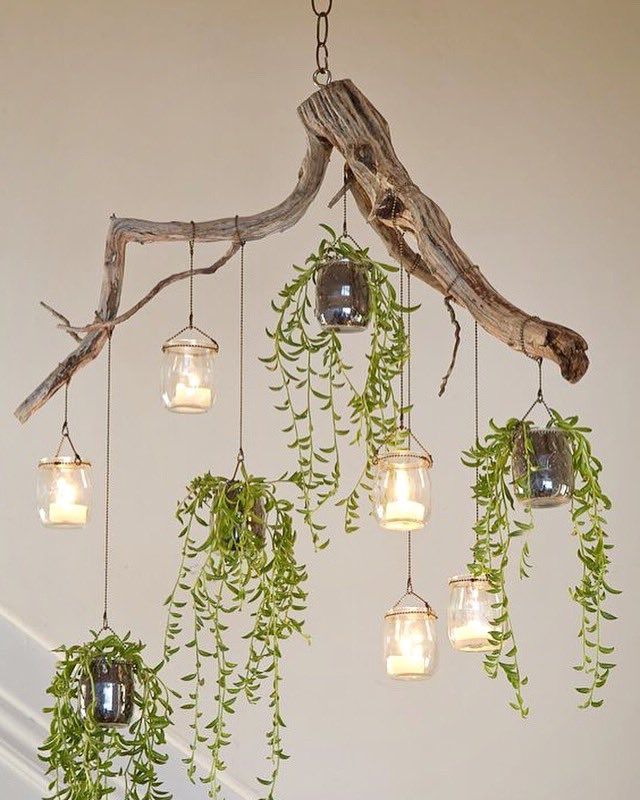 Newest Upcycle That On Twitter: "lovely Green Driftwood Chandelier #upcycle  #succulents Https://t (View 9 of 15)