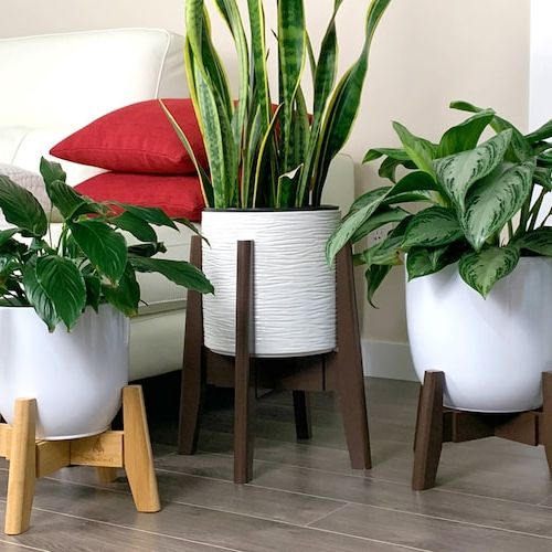 10 Inch Plant Stands For Recent Adjustable Plant Stand With Pot 10 Inch Porcelain Ceramic – Etsy (View 7 of 15)