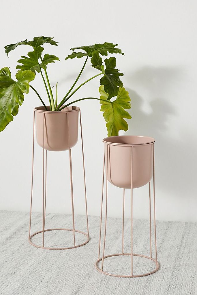 15 Best Indoor Plant Stands That Seriously Stand Out (View 6 of 15)