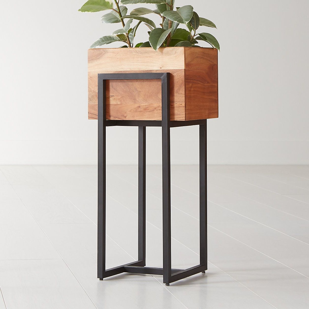 15 Best Indoor Plant Stands That Seriously Stand Out (View 11 of 15)