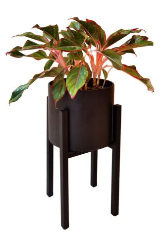 2020 Adjustable Black Metal Plant Stand Dual Height Options Powder Coated Steel  Frame (View 8 of 15)
