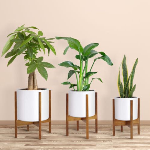 3 Pack Small Medium Large Plant Stands Durable Bamboo Wood Holder Garden  Decor (View 9 of 15)