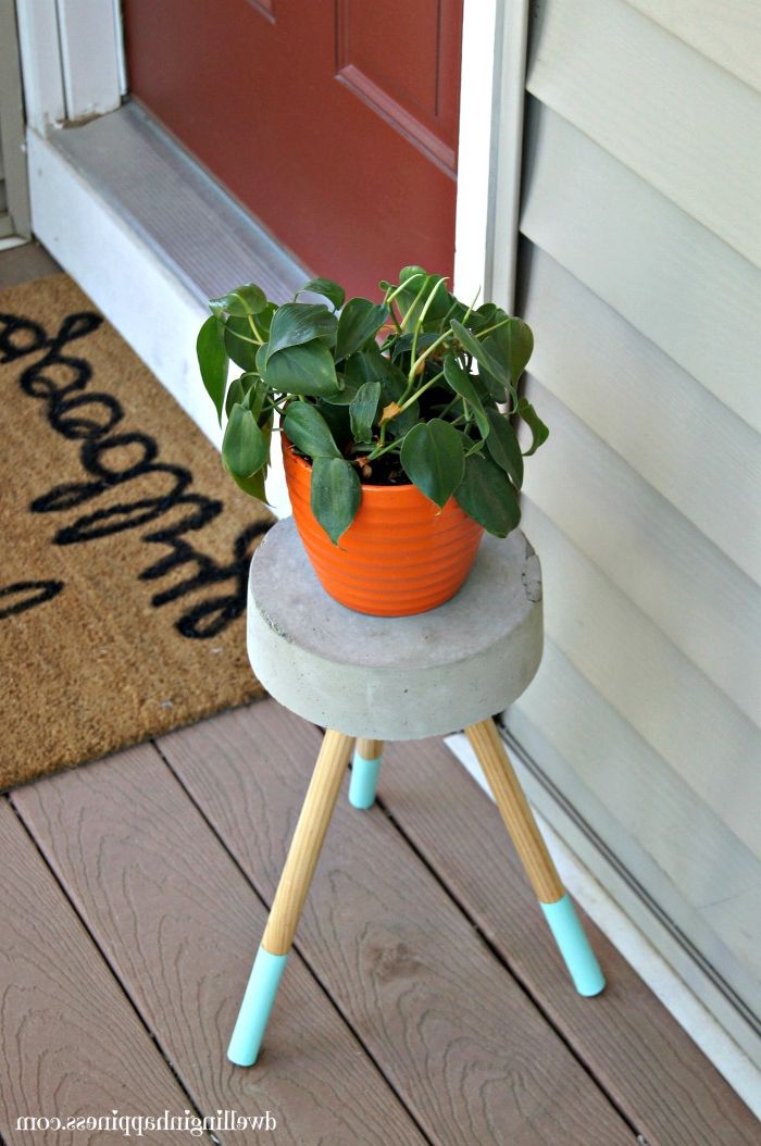 $5 Diy Concrete Plant Stand – Dwelling In Happiness Inside Newest Cement Plant Stands (View 6 of 15)
