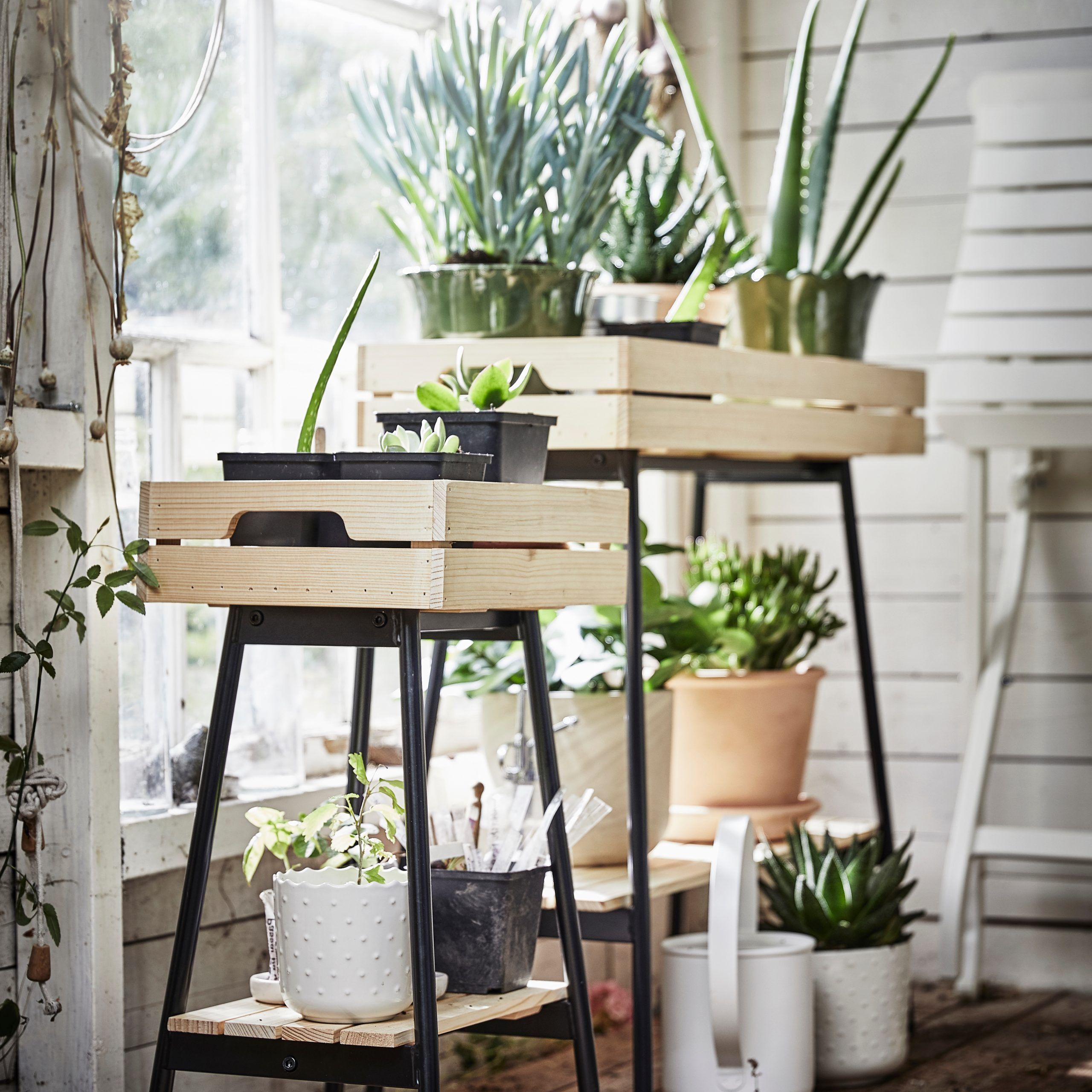 A Sturdy Plant Stand For Your Green Companions – Ikea Inside Current Green Plant Stands (View 5 of 15)