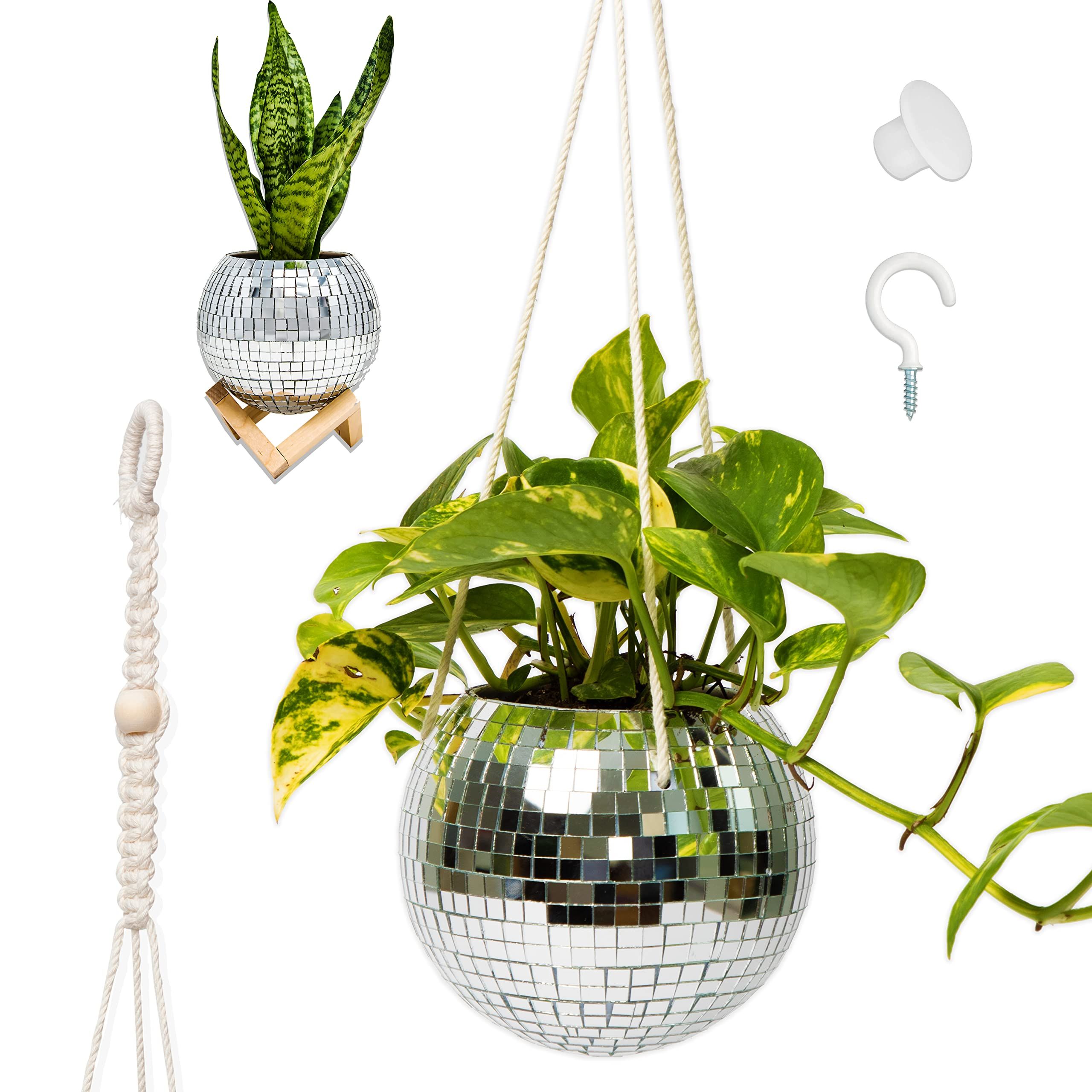 Amazon: Lunar Sol – Disco Ball Planter – Disco Ball Plant Hanger With  Macrame Cotton Rope, With Wooden Stand For Desk Planter Decorations With –  Plant Accessories Indoor Or Outdoor Planters For Patio : Inside Widely Used Ball Plant Stands (View 4 of 15)