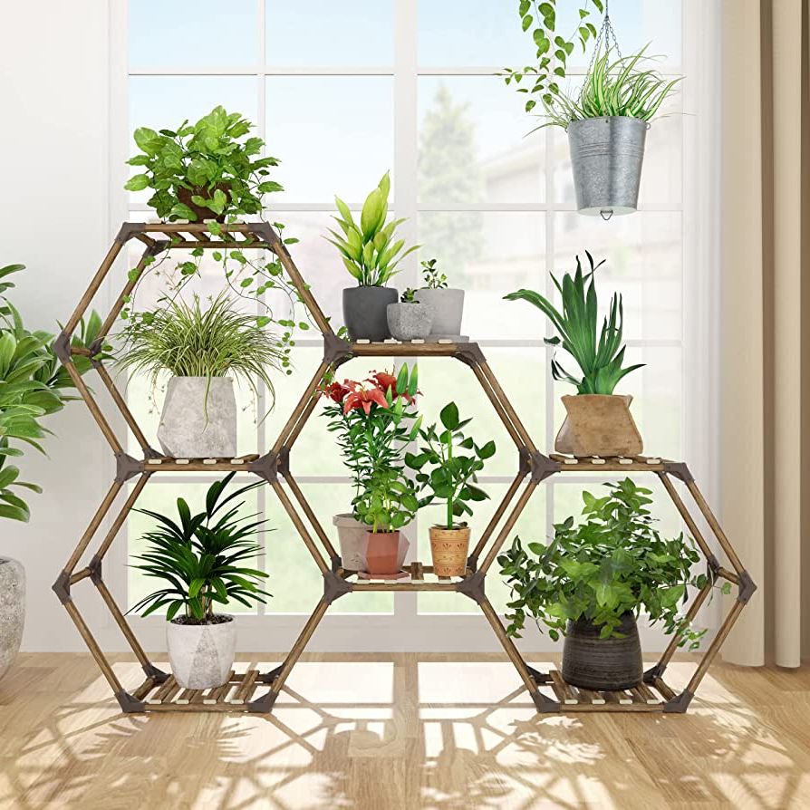 Best And Newest Allinside Hexagonal Plant Stand Indoor, Wood Outdoor Plant Shelf For Plants,  7 Potted Ladder Plant Holder Transformable Plant Pot Stand For Corner  Window Garden Balcony Living Room – 7 Tiers For Hexagon Plant Stands (View 2 of 15)