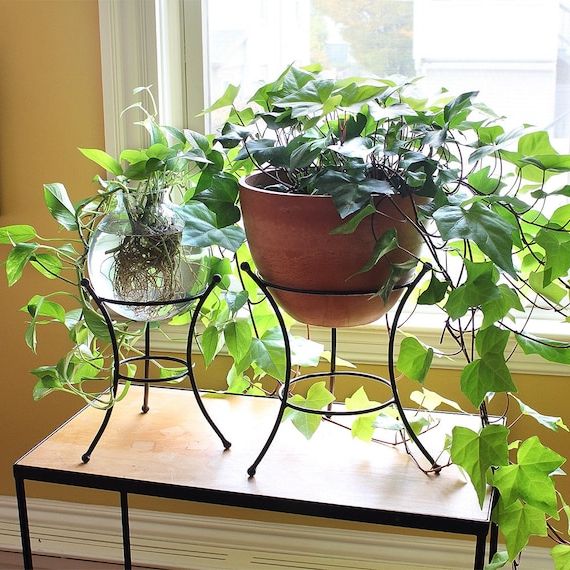 Best And Newest Set Of Two Ball End Wrought Iron Plant Stands Indoor/outdoor – Etsy Regarding Ball Plant Stands (View 3 of 15)