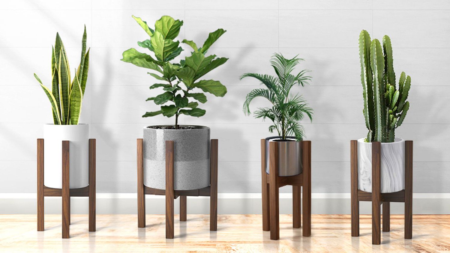 Best And Newest The 8 Best Plant Stands For Every Style For Modern Plant Stands (View 14 of 15)