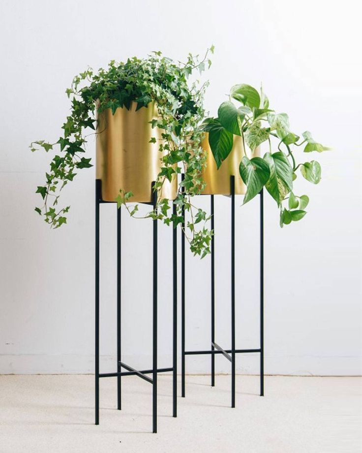 Brass Plant Stands With Regard To Current Bring Nature Into The Home With Our Deni Plant Stand And Brass Pot (View 8 of 15)