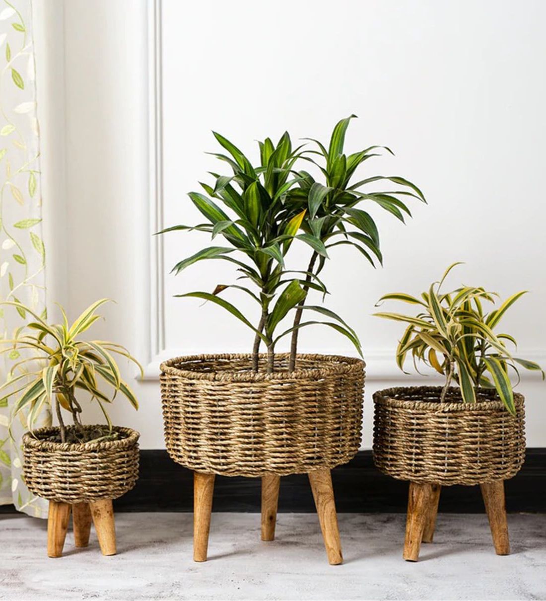 Brown Metal Plant Stands Intended For Preferred Buy Brown Metal Planter Stand With Jute Rope And Wooden Legs, Set Of 3 Foliyaj Online – Metal Planter Stands – Pots & Planters – Home Decor –  Pepperfry Product (View 4 of 15)