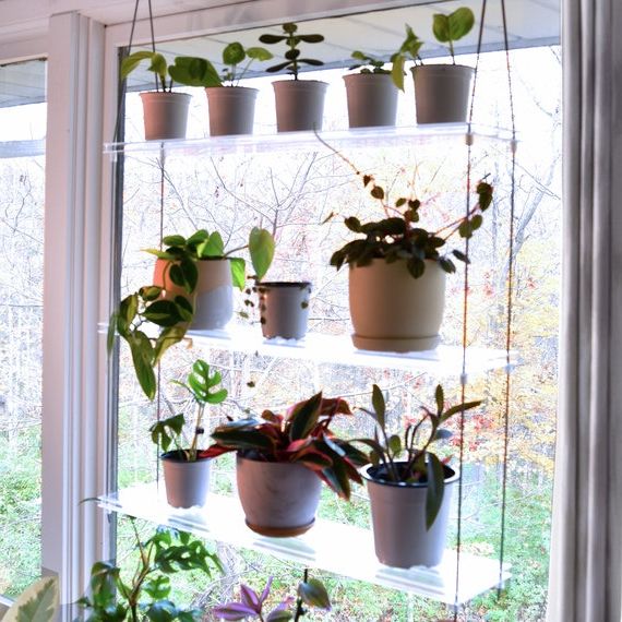 Clear Plant Stands Inside Recent Clear Acrylic Window Plant Shelf Hanging Plant Shelf Indoor – Etsy (View 3 of 15)