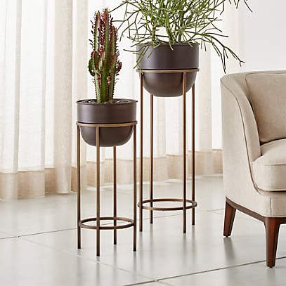 Crate & Barrel Inside Newest Bronze Small Plant Stands (View 5 of 15)