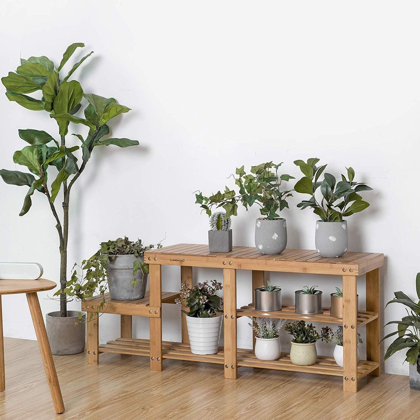Current 39 Best Plant Stands  (View 6 of 15)
