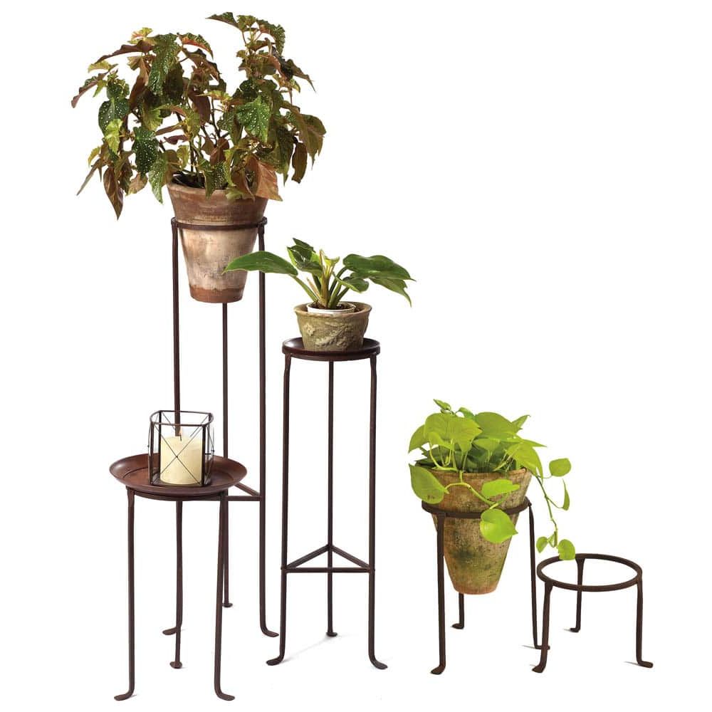 Current Iron Plant Stands Intended For Iron Plant Stands – 8" Diameter – Campo De' Fiori – Naturally Mossed Terra  Cotta Planters, Carved Stone, Forged Iron, Cast Bronze, Distinctive  Lighting, Zinc And More For Your Home And Garden (View 2 of 15)