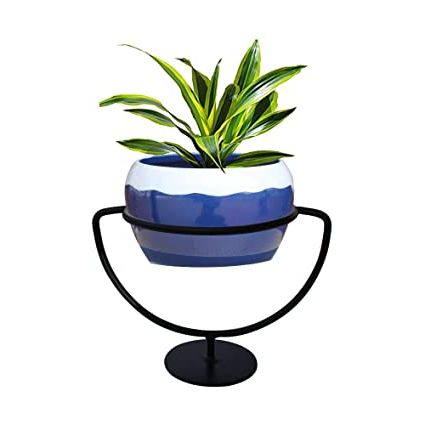 Current Trustbasket Trophy Plant Stand With Ceramic Like Metal Bowl (blue) –  Premium Strong Durable Flower Pot Stand With Container For Home, Balcony,  Indoor, Living Room Decor, Office Use : Amazon (View 5 of 15)