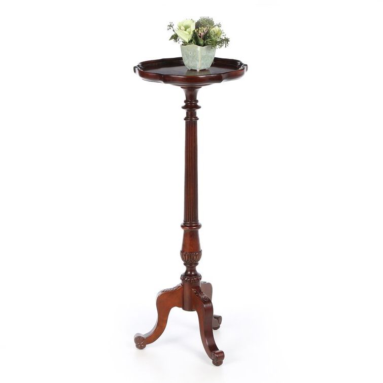 Darby Home Co Skelly Round Pedestal Plant Stand & Reviews (View 8 of 15)