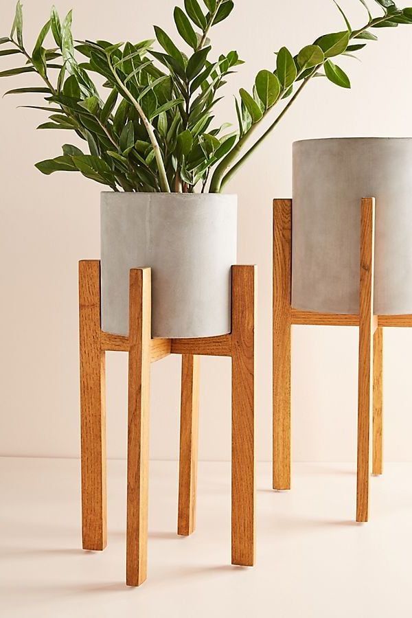 Decor, Modern Plant Stand, Rooms Home Decor Within Cement Plant Stands (View 7 of 15)