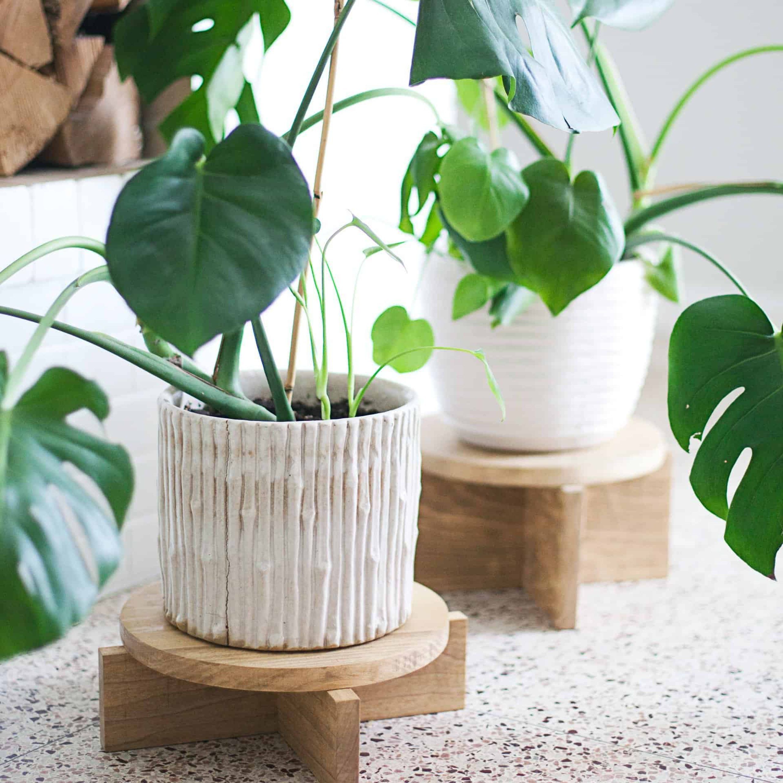 Diy Modern Wood Plant Stands – A Beautiful Mess Inside Most Up To Date Wooden Plant Stands (View 14 of 15)