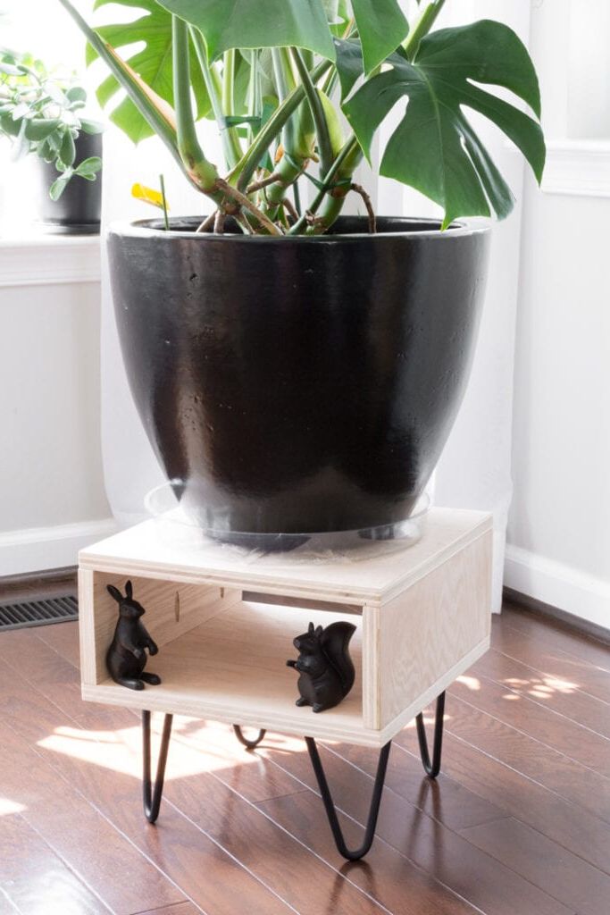 Diy Plant Stand: Make This Easy Project For Your Plants With Best And Newest Plant Stands With Flower Bowl (View 8 of 15)