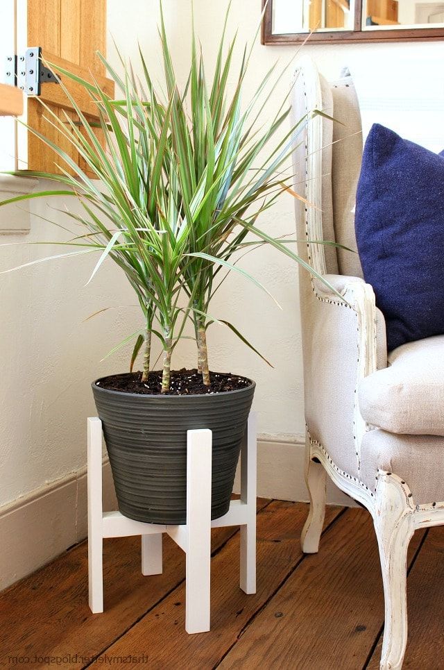 Diy Plant Stand With Free Plans – Jaime Costiglio Within Latest Painted Wood Plant Stands (View 7 of 15)