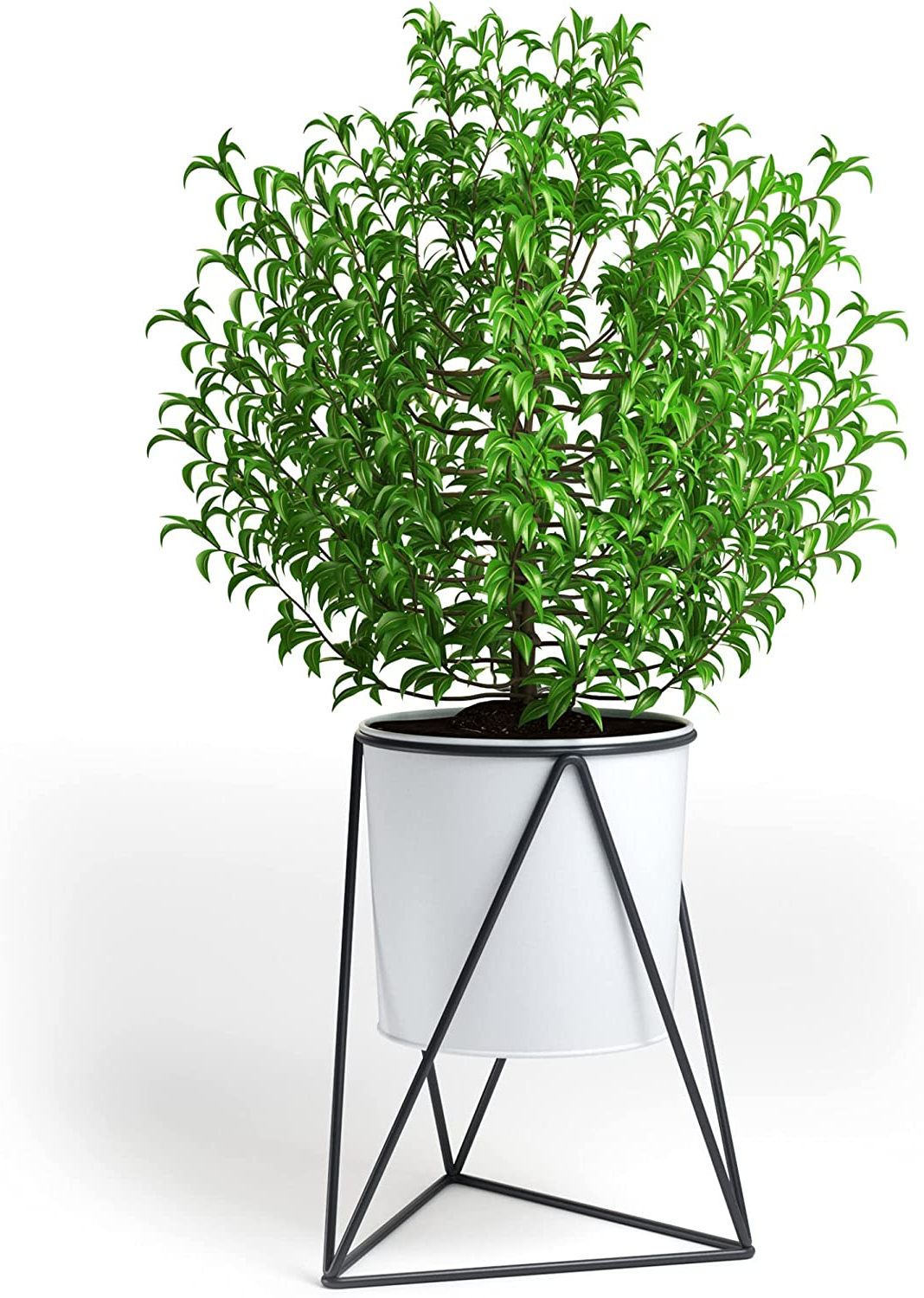 Fashionable Buy Indoor Plant Stand With Pot – Kensington London Hand Finished Grey  Metal Tripod Stand And White Metal Pot – House Plant And Flower Holder –  Powder Coated Galvanized Iron Online At Lowest With Regard To Powdercoat Plant Stands (View 14 of 15)