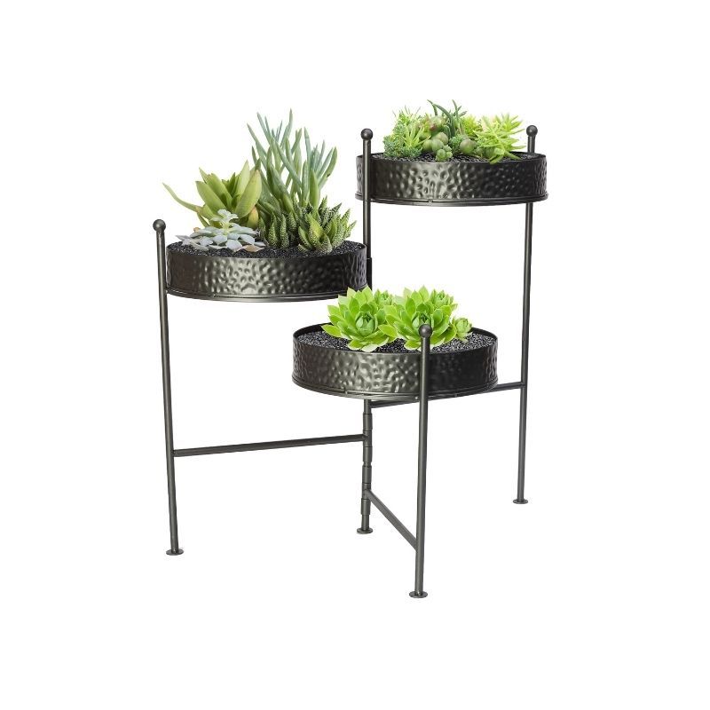 Fashionable Get Three Tier Plant Stand, 21 Inch In Mi At English Gardens Nurseries (View 5 of 15)