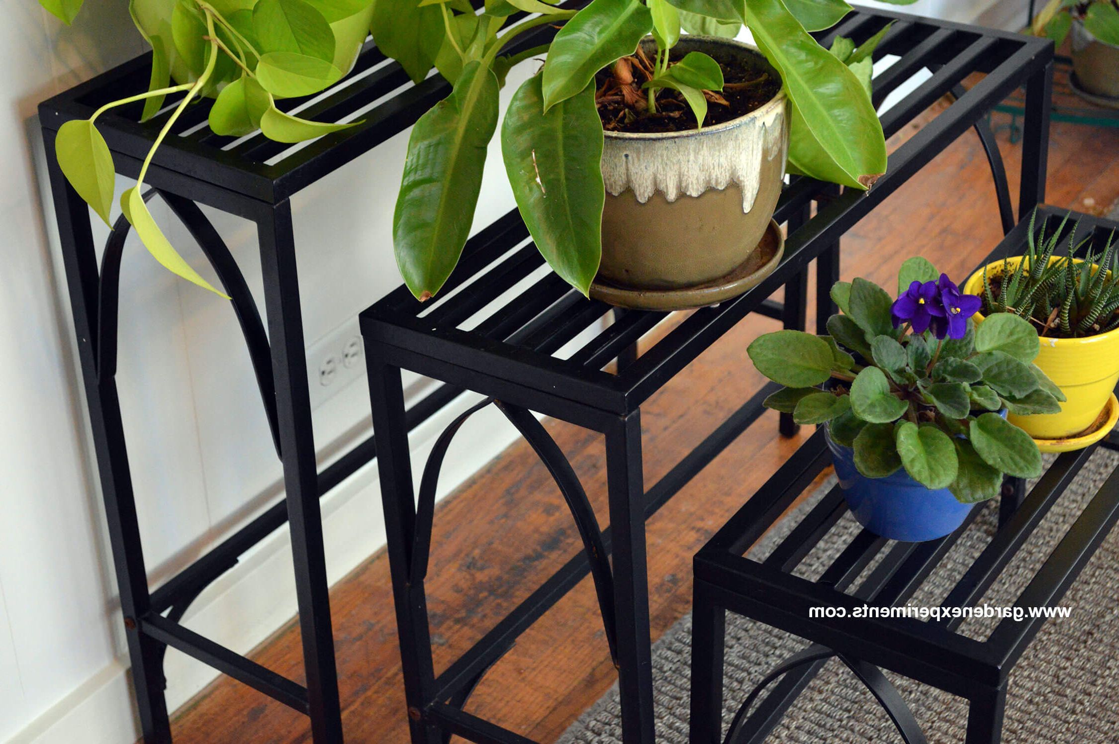 Fashionable Sturdy Metal Plant Stand Holds 12 Plants Regarding Metal Plant Stands (View 5 of 15)