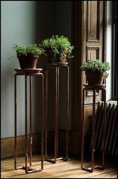 Fashionable Tall Pedestal Plant Stand – Foter (View 6 of 15)